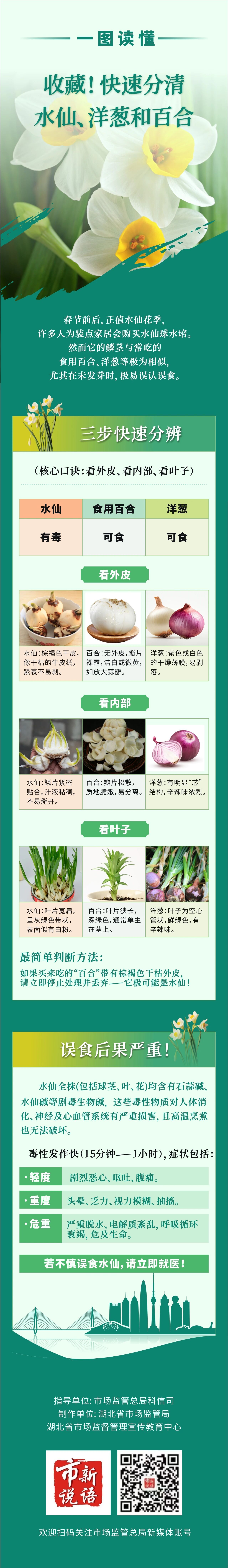 一图读懂｜收藏！快速分清水仙、洋葱和百合.jpg